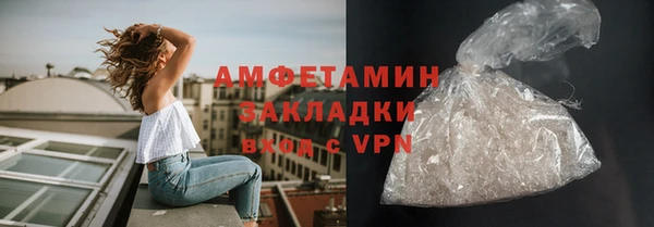 стаф Алзамай