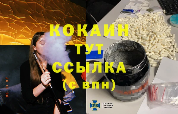 стаф Алзамай