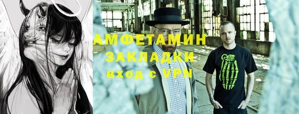 стаф Алзамай