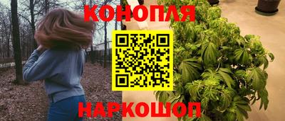 ешки Новокубанск
