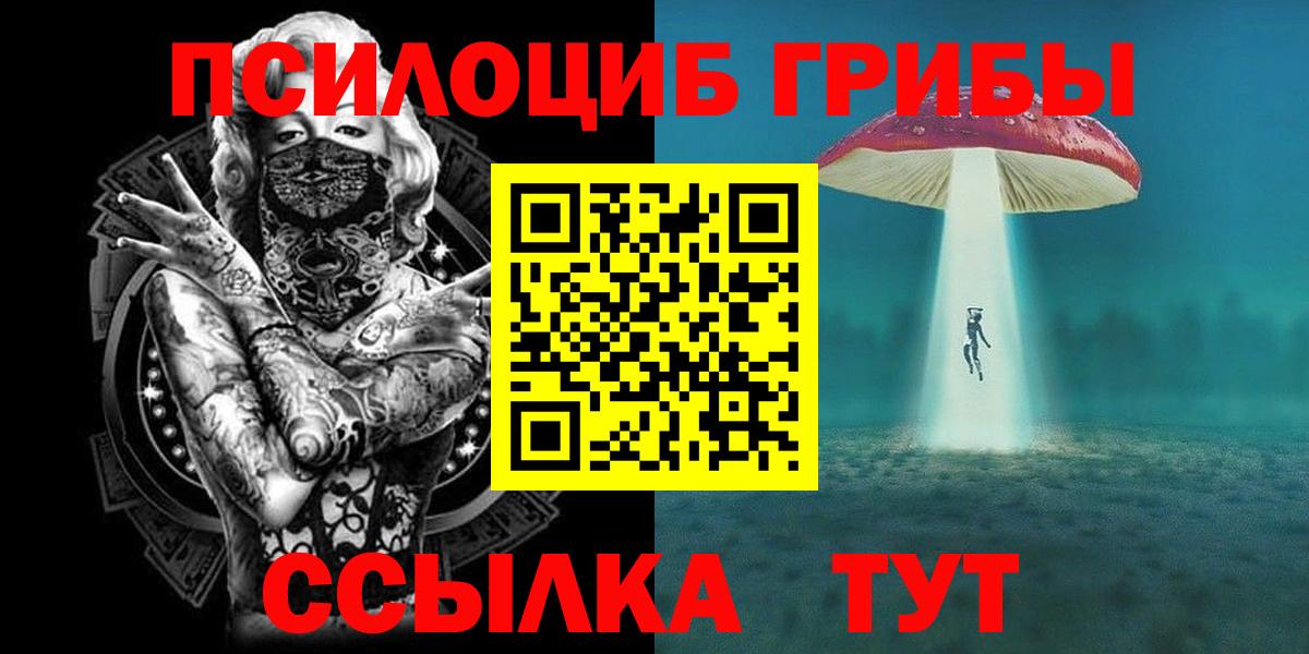 Псилоцибиновые грибы Cubensis Тула